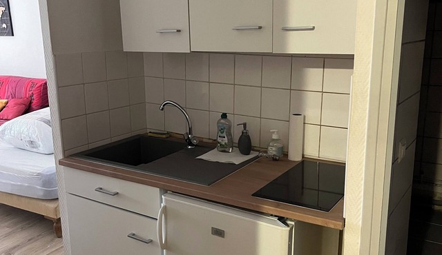 Studio 27m2 aux Pieds des Thermes