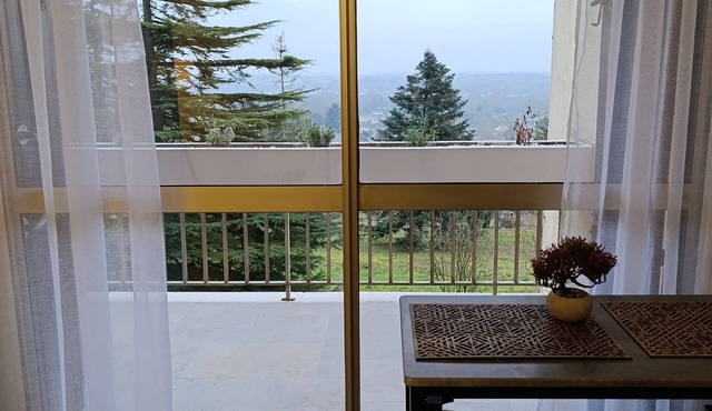 STUDIO AU CŒUR DES CHÂTEAUX ET DU ZOO DE BEAUVAL