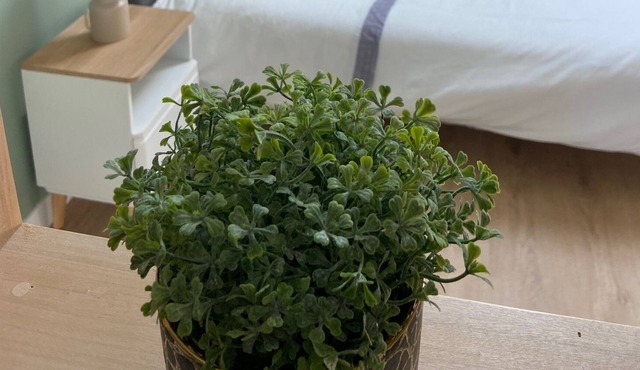 Studio / Gîte sur les Bords de Loire en Centre Ville