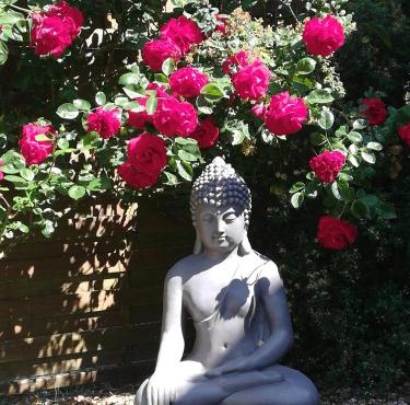 Studio & Gîte Zen de Beauval- 800 m du Zooparc