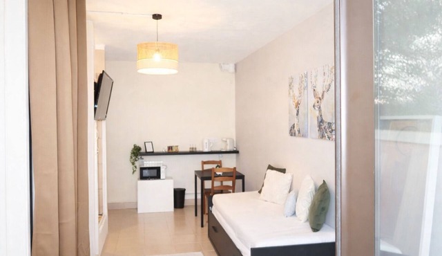 Studio Groupama stadium/LDLC arena/Eurexpo/st Exupéry airport