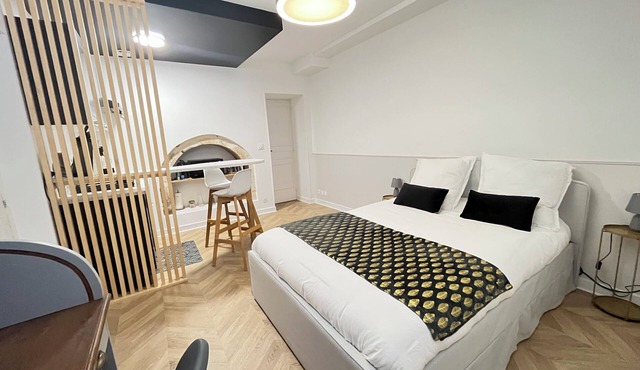 Studio Haslay SERAUCOURT in the heart of BOURGES - Charm & comfort