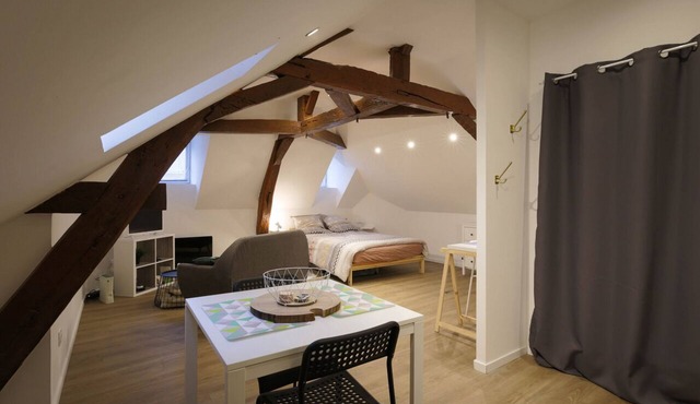 Studio Hyper center Emeraude ★ ZOO ★ 24h du Mans