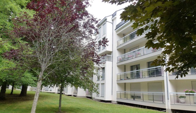 STUDIO IDEALLY LOCATED, NEAR CHAMBORD, CHATEAUX DE LA LOIRE, BEAUVAL ZOO