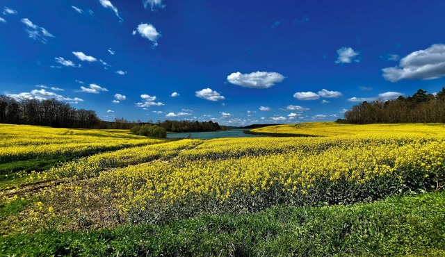 Studio in a charming village