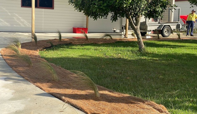 Studio in amongst olive trees and Macadamia trees Wake up to birds singing