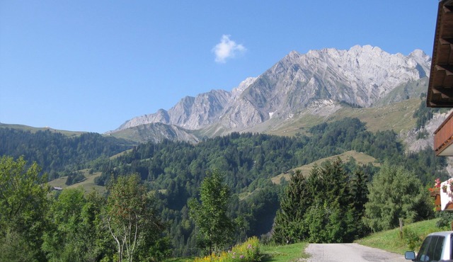 Studio in chalet, nice view, quiet, Col des Aravis