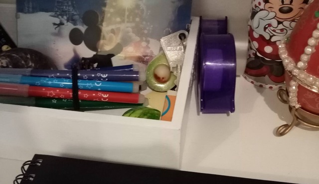 Studio in Disneyland ✨