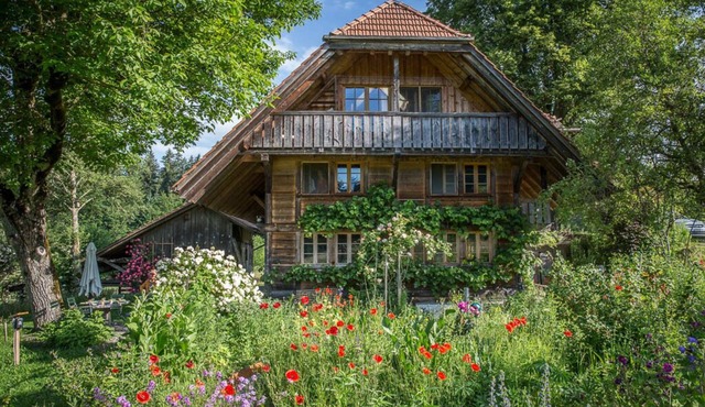 Studio in farmhouse, biodiverse with pond & sauna, pure nature