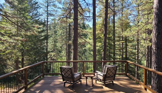 Studio in Forest with Vineyard