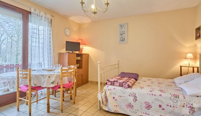 Studio in Barbotan-les-Thermes with Wifi, Terrace and Pets allowed