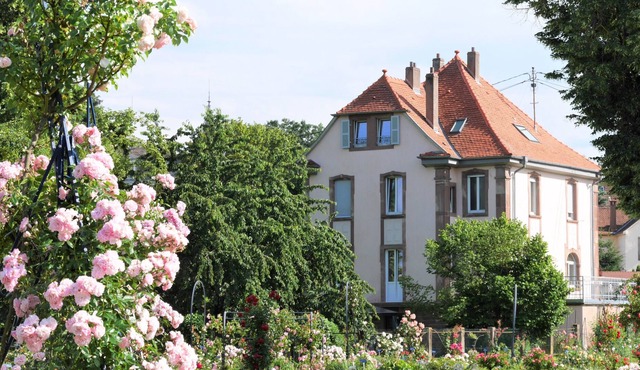 Studio in house with garden