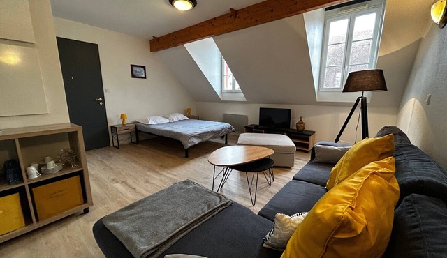 Studio in La Roche-Posay with Pool and WIFI