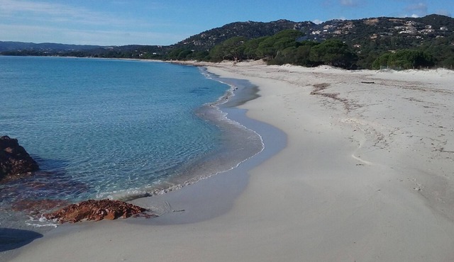 STUDIO IN PALOMBAGGIA FOR 2 PERS UNDER 700 M FROM THE AIR-CONDITIONED BEACH