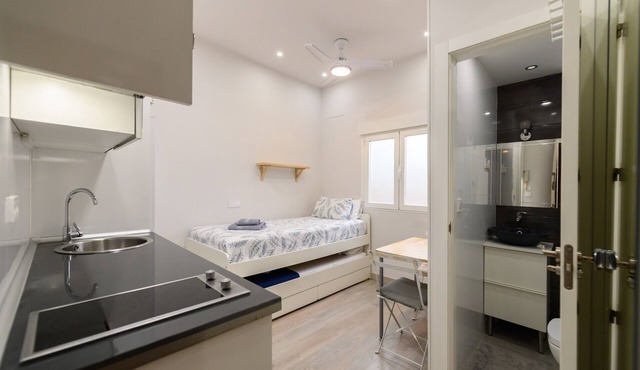 Studio in the heart of the Barrio de Salamanca-Madrid