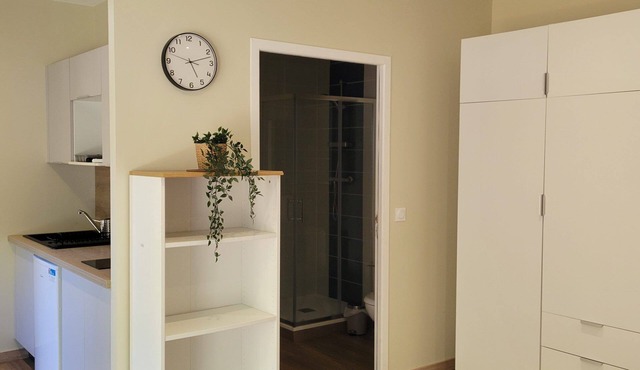 Studio in the heart of the Basque Country