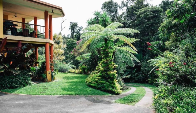 Studio in the Rainforest