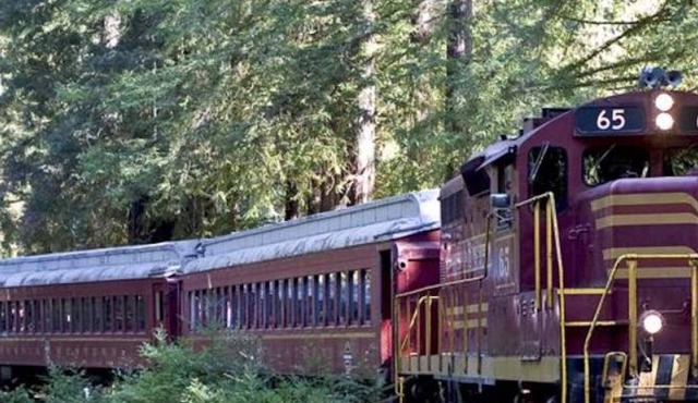 Studio in Town Center - between the Beach and Giant Redwoods