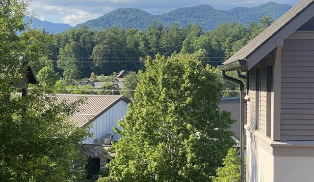 Studio in upscale, intimate Black Mountain neighborhood