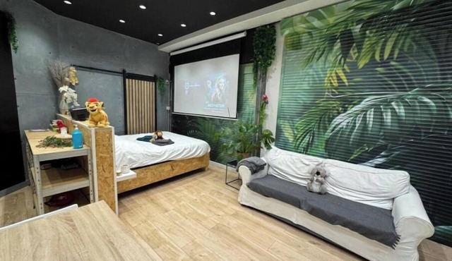 Studio Jungle with breakfast and video projector