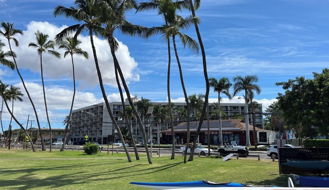 Studio, Kihei, Maui. Across from beach, next to South Maui Gardens.