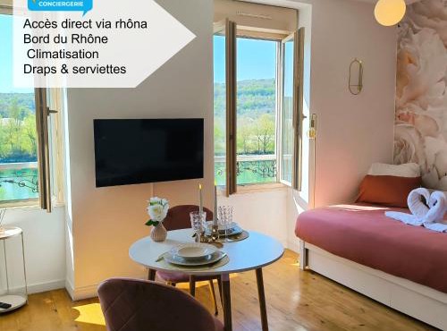 Studio l'éclat vue sur rhône , accès directe à la via rhona, clim