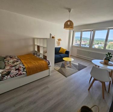 Studio La Belle Vue -Proche Hyper Centre-ville-