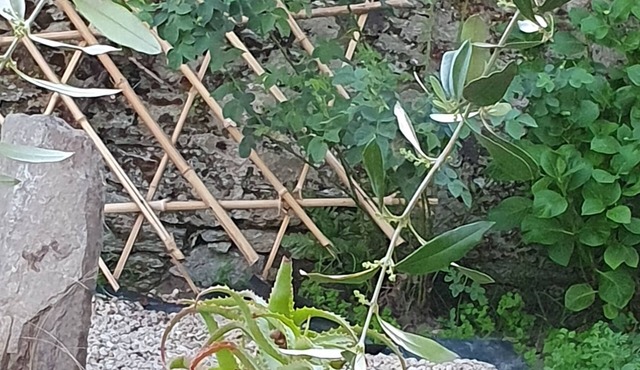 Studio La BK'ne for 2 to 4 people, ideal for a motorcycle or cycling adventure with the family