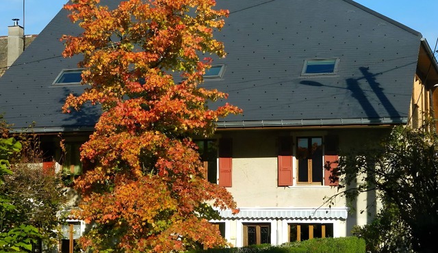 Studio "Le Cabanon 35 m²" with Mountain View