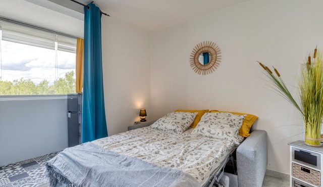 Studio 'Le Cozy A La Grande Pyramide' with Wi-Fi