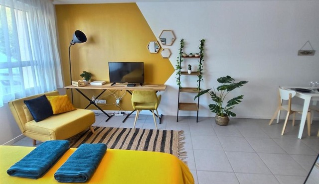 Studio LE JUNGLE - ROISSY CDG - Parc Astérix - PARIS