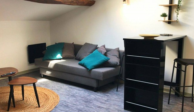 STUDIO LE NID ★ PLEIN CENTER ★ LUMINEUX ★ WIFI