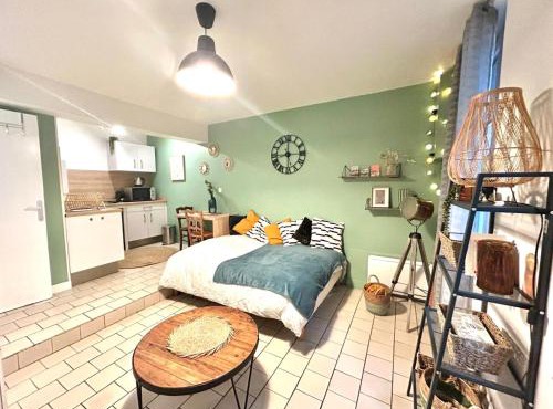 Studio le nid rouennais, calme en hypercentre