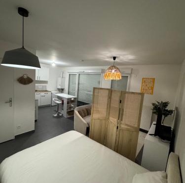 Studio Leman Ciel avec parking privé gratuit