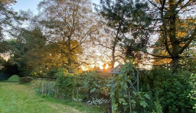 Studio/lickey Hills/near Attractions/garden/petok