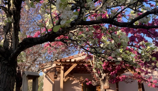 Studio "Little Nest for Travelers" with Private Terrace, Wi-Fi, and Air Conditioning