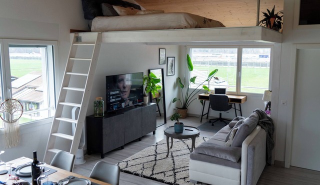 STUDIO.LOFT.MOUNTAINS