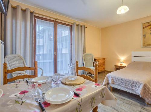 Studio lumineux 2 pers, Balcon Sud, Wifi, Animaux admis - FR-1-841-63