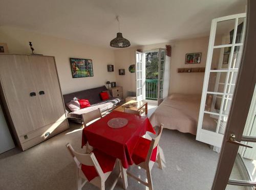 Studio lumineux centre-ville La Roche-Posay avec WI-FI, lave-linge, lave-vaisselle, animaux admis - FR-1-541-131