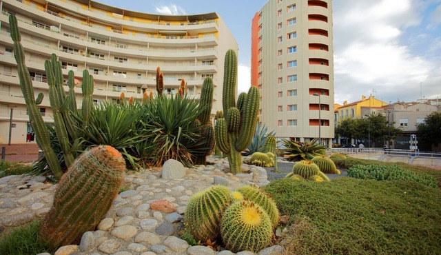 Studio Lumineux et Abordable avec Balcon + Parking
