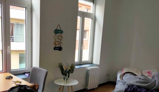 Studio Lumineux et Confortable Lille Moulins