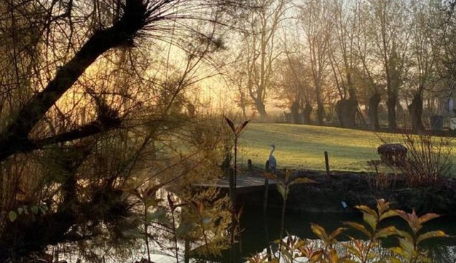 Studio Mérignies, studio flat, 2 persons