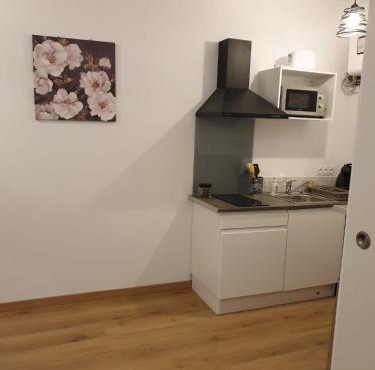 Studio Maillol centre historique Perpignan