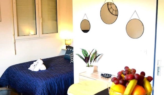 STUDIO´MARCEL*FIBRE*TRAM*PARKING*JARDIN*AUTO24/24*