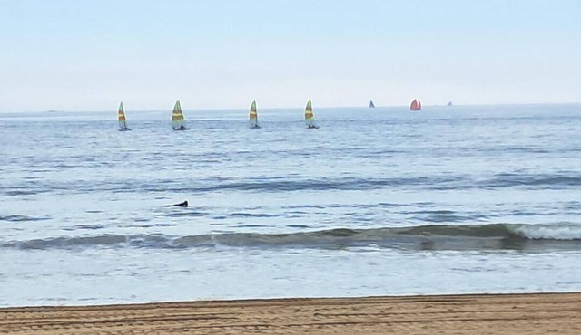 STUDIO MER PORNICHET 800 METRES FROM THE BAY OF LA BAULE