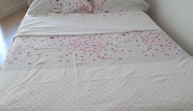 Studio Meublé Avec Balcon