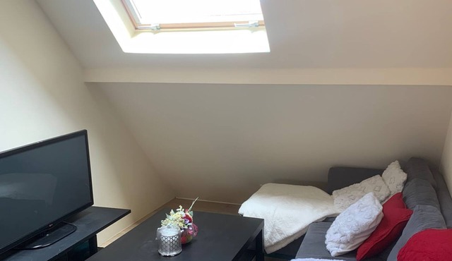 Studio Meublé Avec une Mezzanine Dans une Maison