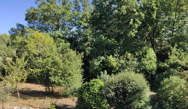 Studio Moderne à la Campagne, Pour les Amoureux de la Nature