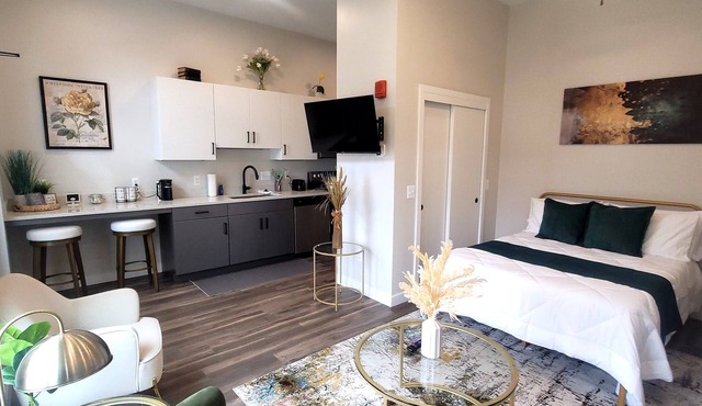 Studio Monthly & Daily Rental For Traveling Professionals,Corporate & Student's
