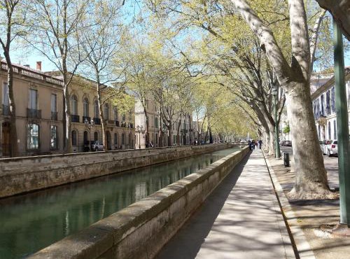 Studio Nîmes Centre